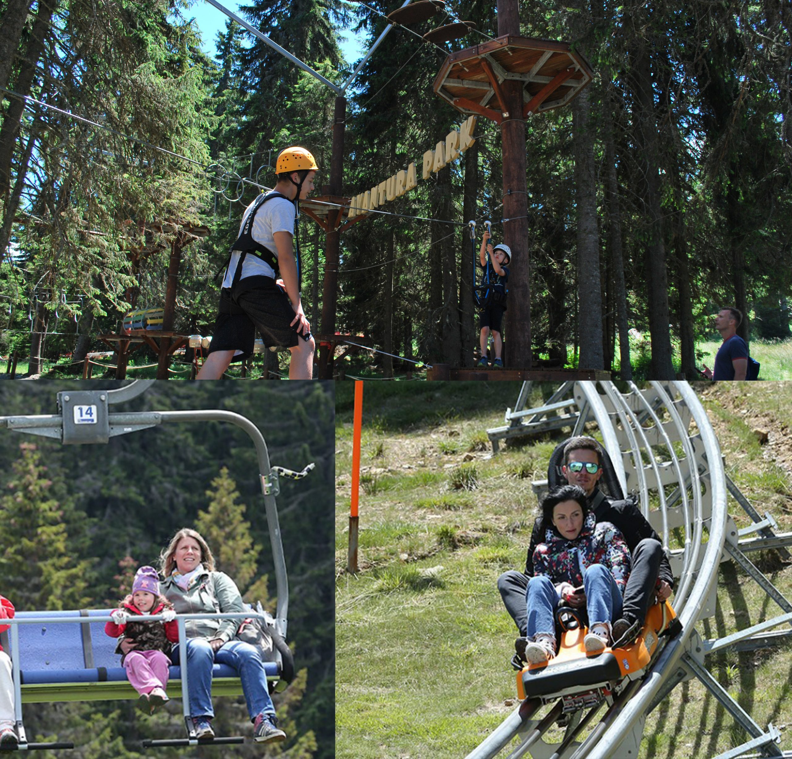 https://kraljevicardaci.com/wp-content/uploads/2025/05/kopaonik_sadrzaj_2025-scaled.jpg
