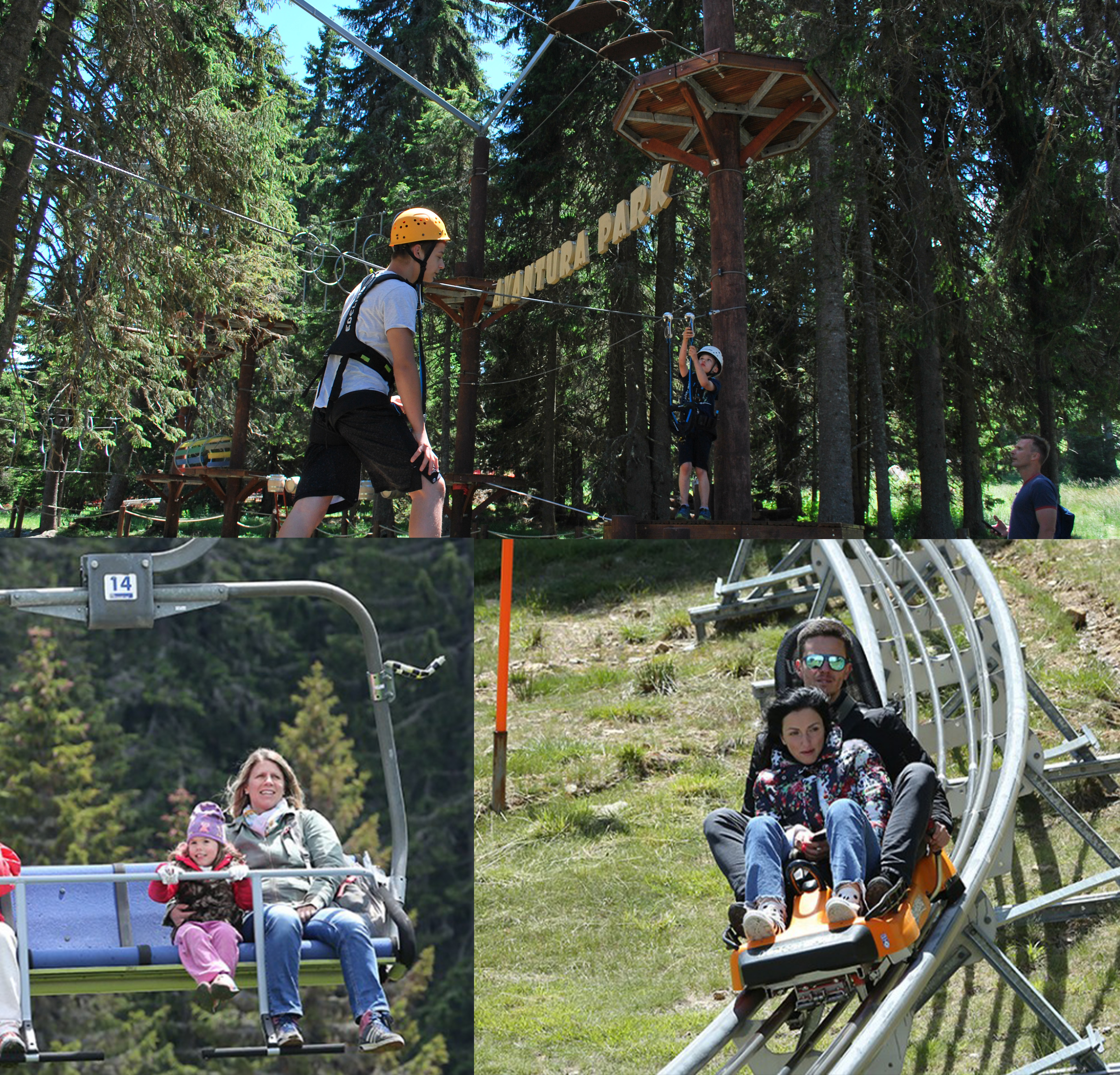 https://kraljevicardaci.com/wp-content/uploads/2025/05/kopaonik_sadrzaj_2025.jpg
